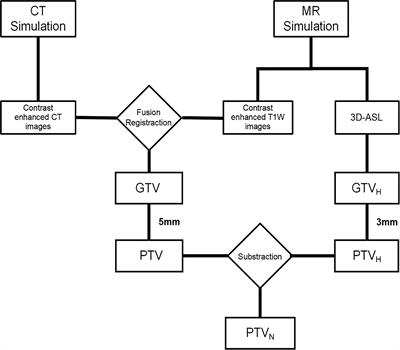 A novel approach for dose painting radiotherapy of brain metastases guided by mr perfusion images